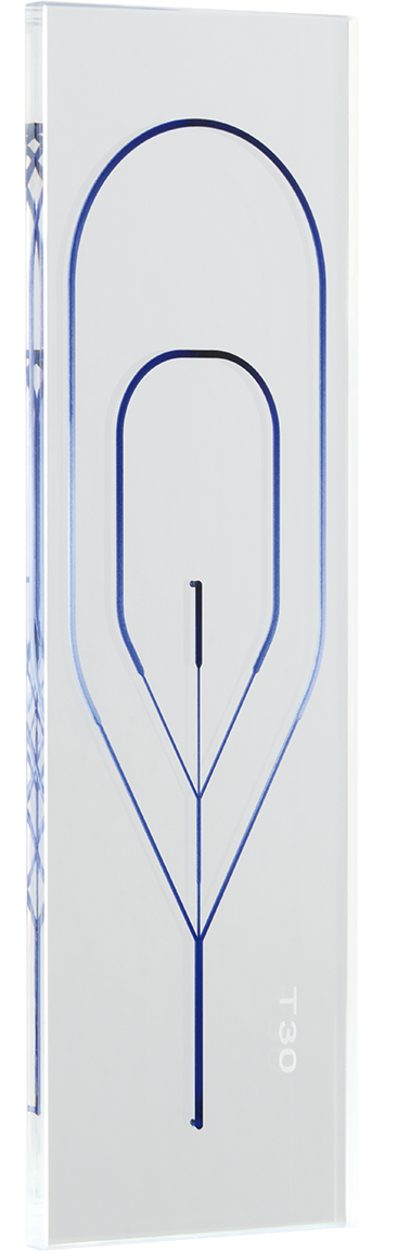Microfluidics chips