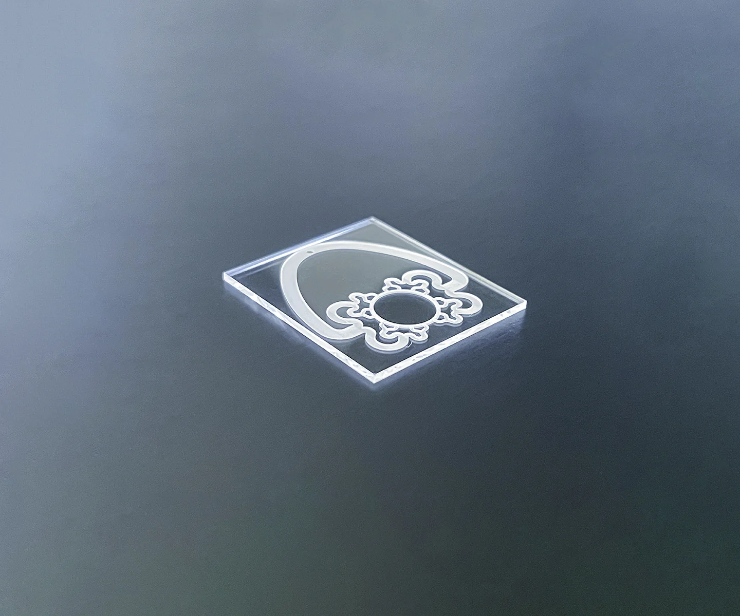 Organ-on-chip